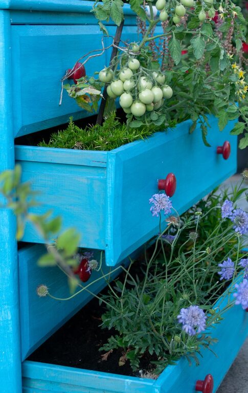 Easy Gardening Projects for Small Outdoor Spaces